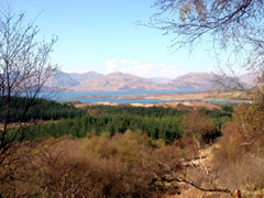 Buy Land in Scotland Buy Land in Scotland